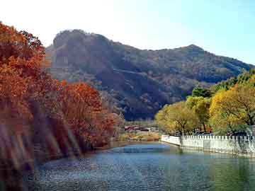 新澳天天开奖资料大全旅游团，庆云seo建站